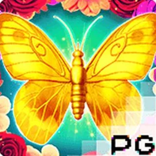 蝶恋花